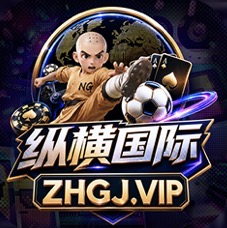 纵横国际